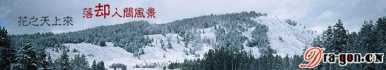 思雪