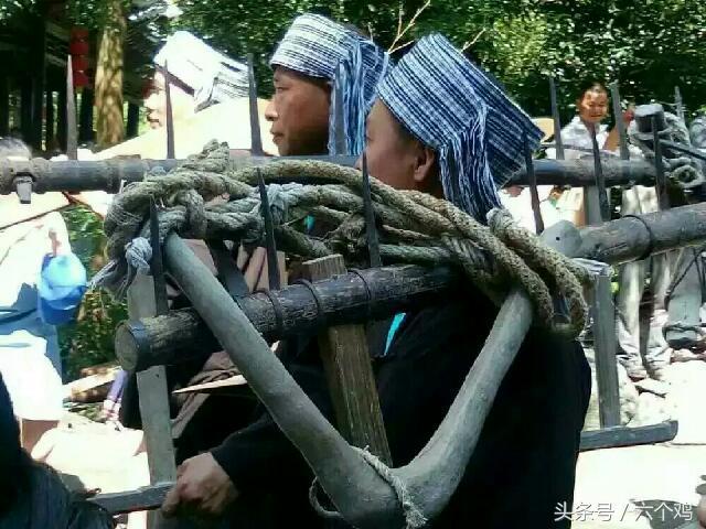 生态偶里，醉美茶乡