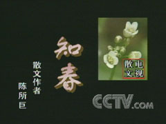 知春