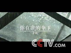 你在谁的伞下