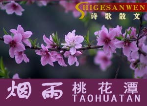 烟雨桃花潭