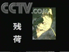残荷