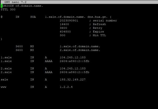 自建权威 DNS