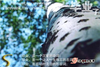 别了，我的大学——第二章：梦开始的地方