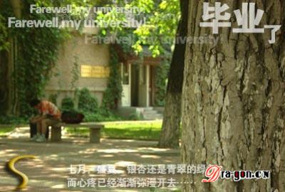 别了，我的大学——第三章：朋友别哭
