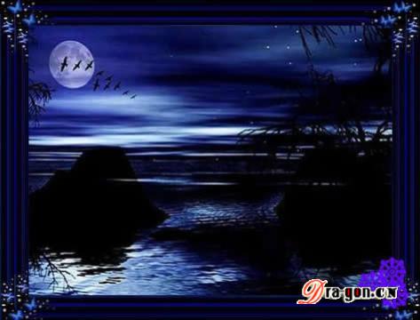 冷雨夜